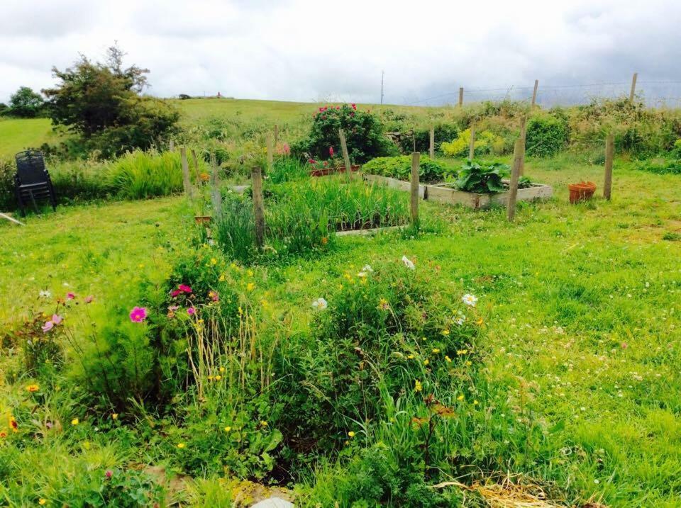 Holland House Bed and Breakfast Ballyshannon Εξωτερικό φωτογραφία